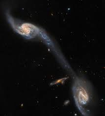 Information could be a fundamental part of the universe