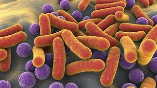 you can do to make your microbiome healthier